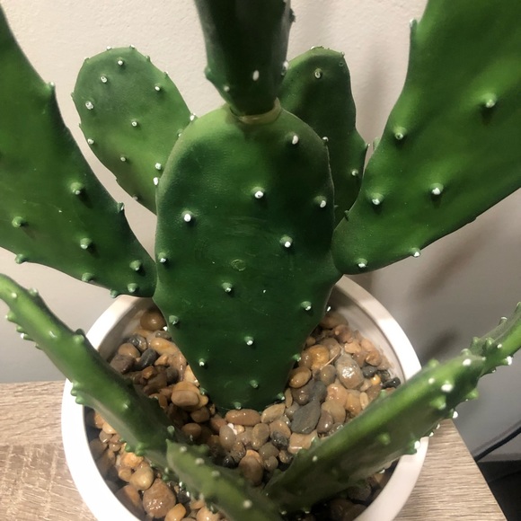 SOLD - Picture 4 of 6